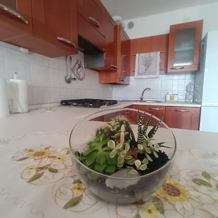 Elena's * Pordenone